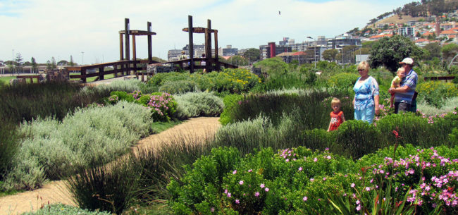 Green-Point-14