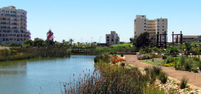 Green-Point-9